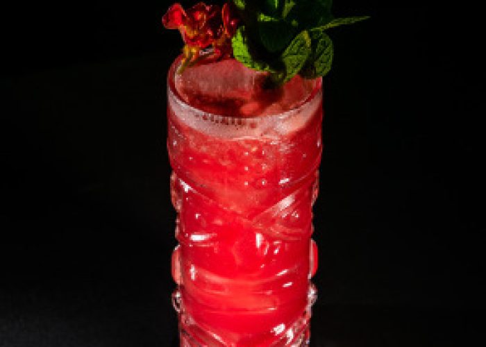 36d10e8a-46da-4105-856d-870017ed8c79